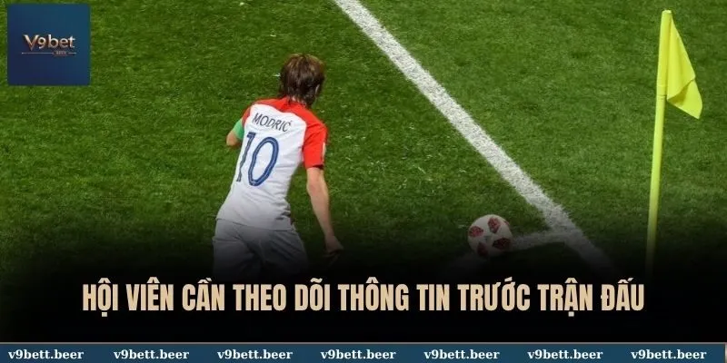 Hội viên cần theo dõi thông tin trước trận đấu