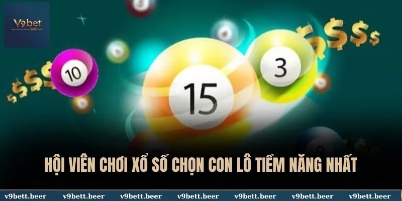 V9BET 19 Hội viên chơi xổ số chọn con lô tiềm năng nhất