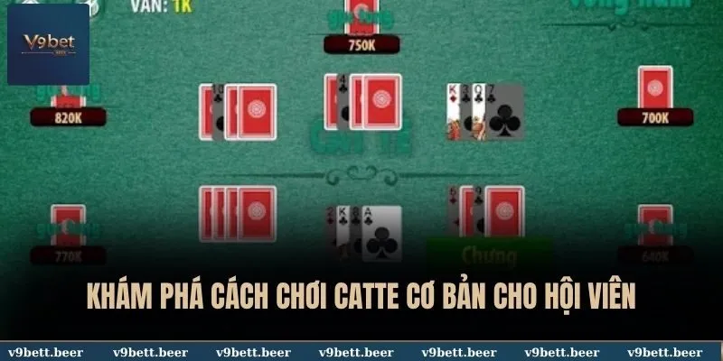 Cách Chơi Catte Đơn Giản Dễ Hiểu Từ A đến Z Tại V9bet Đăng Nhập 3 Khám phá cách chơi Catte cơ bản cho hội viên